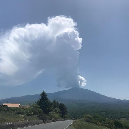 Casa Proserpina 卡塔尼亚 外观 照片